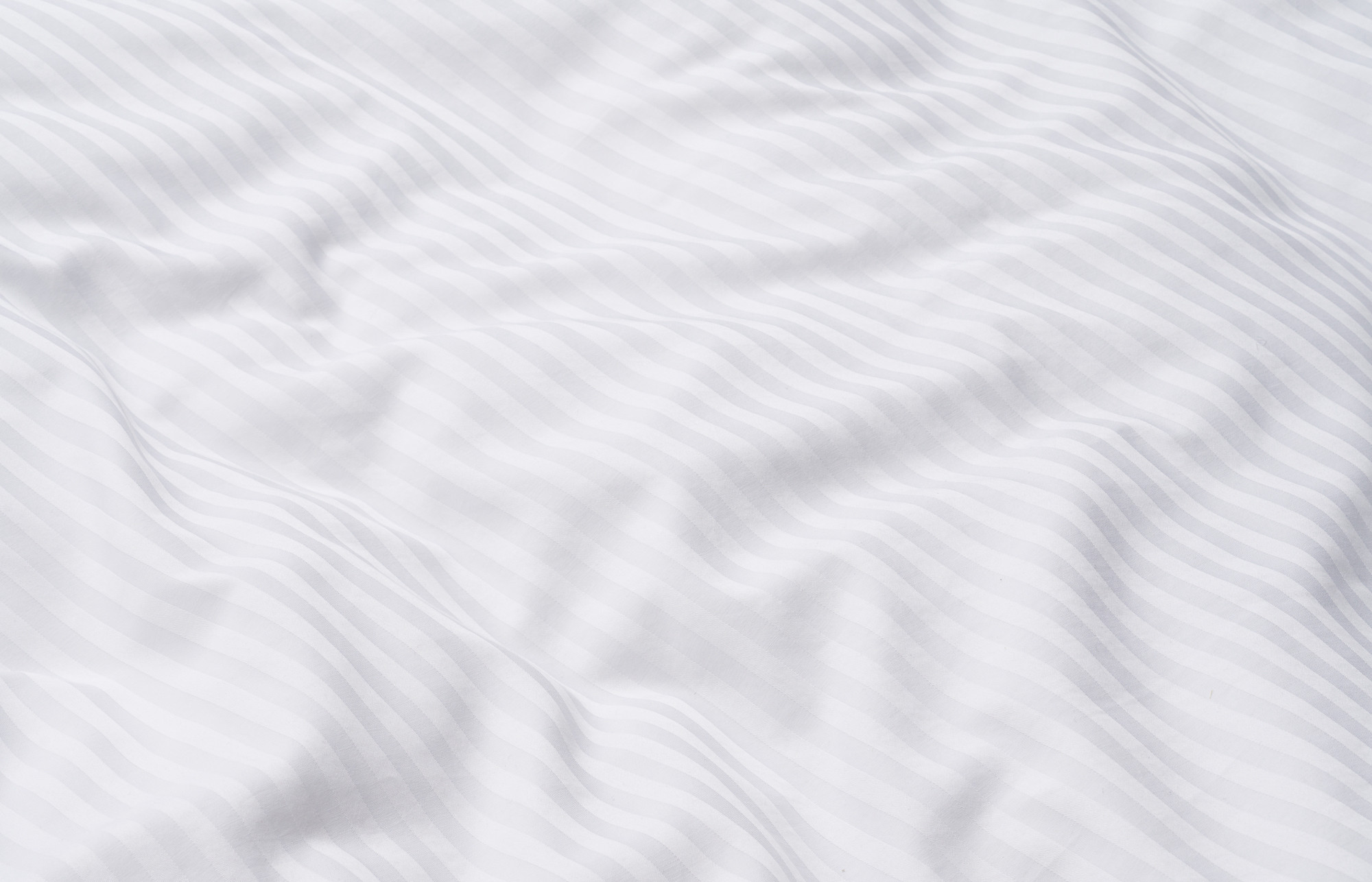  Kolekce Daily Notes